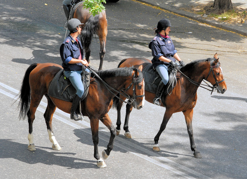 Xilocopa e ancora polizia a cavallo